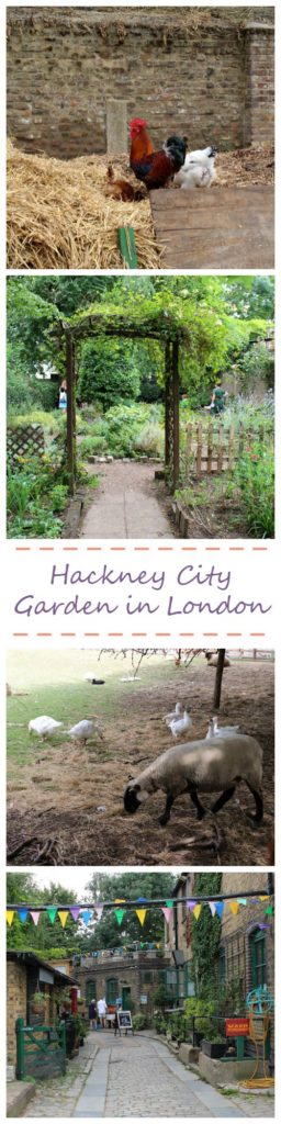 Hackney City Garden in London