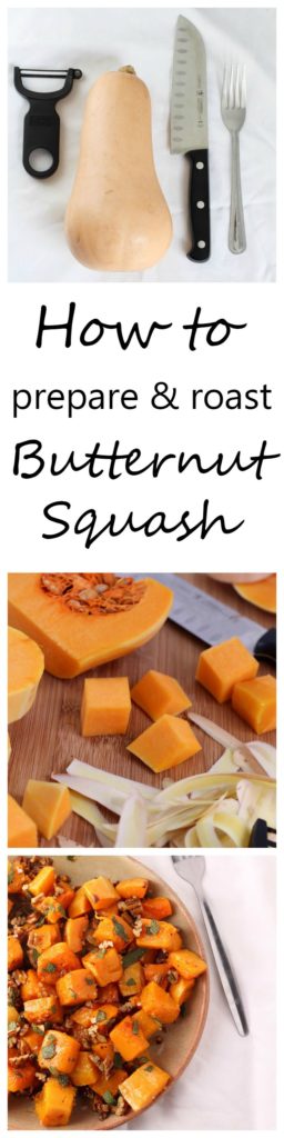 Butternut-Squash-Banner