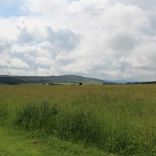 Tourist Tuesday: Culloden Battlefield